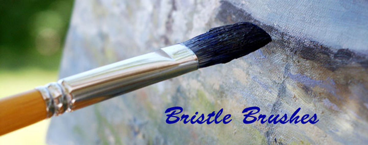 Bristle brushes